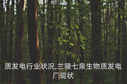 质发电行业状况,兰陵七泉生物质发电厂现状