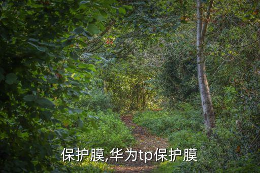 保护膜,华为tp保护膜