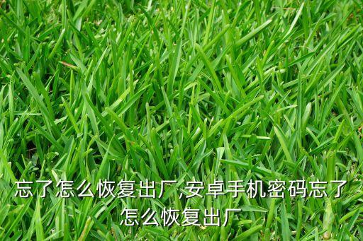 忘了怎么恢复出厂,安卓手机密码忘了怎么恢复出厂