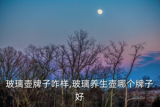 金灶玻璃壶牌子咋样,玻璃养生壶哪个牌子好?