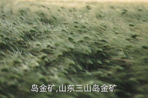岛金矿,山东三山岛金矿