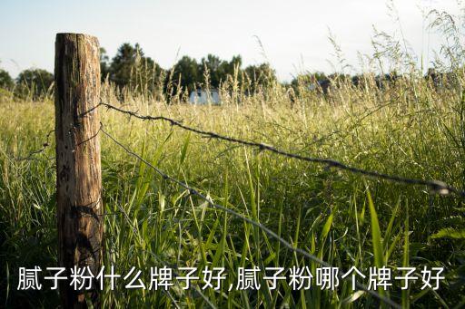 腻子粉什么牌子好,腻子粉哪个牌子好