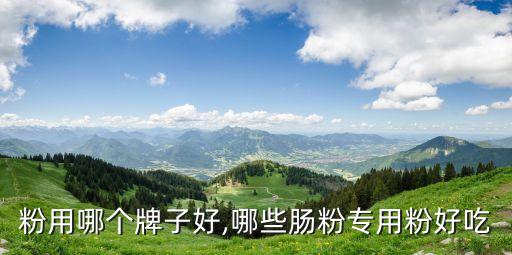 粉用哪个牌子好,哪些肠粉专用粉好吃