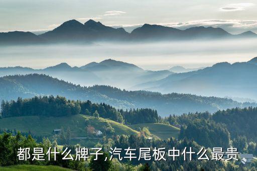 都是什么牌子,汽车尾板中什么最贵