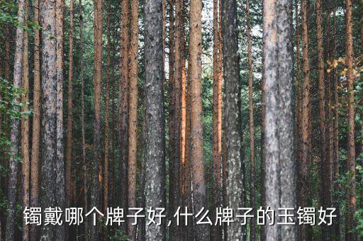镯戴哪个牌子好,什么牌子的玉镯好