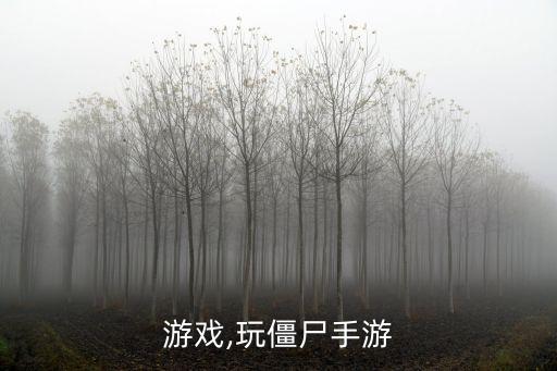 游戏,玩僵尸手游