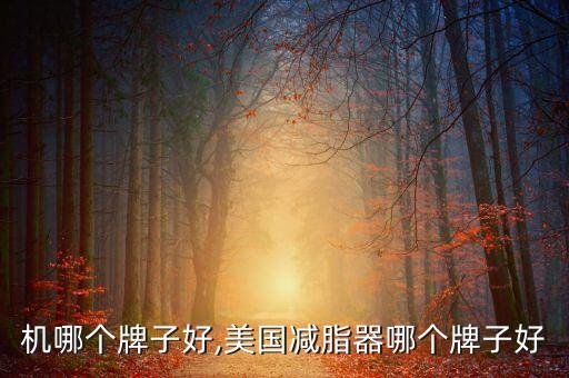 燃脂机哪个牌子好,美国减脂器哪个牌子好?
