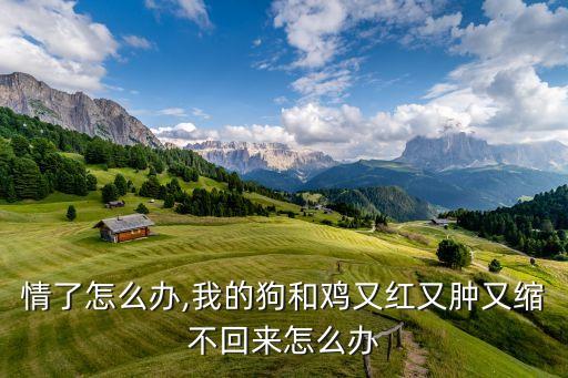狗发情了怎么办,我的狗和鸡又红又肿又缩不回来怎么办?