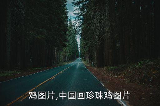 珍珠鸡图片,中国画珍珠鸡图片