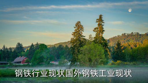钢铁行业现状国外钢铁工业现状