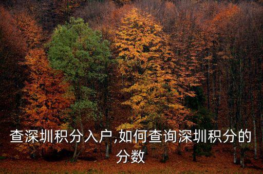 怎么查深圳积分入户,如何查询深圳积分的分数?