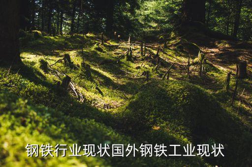 钢铁行业现状国外钢铁工业现状