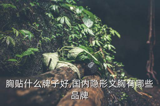 胸贴什么牌子好,国内隐形文胸有哪些品牌