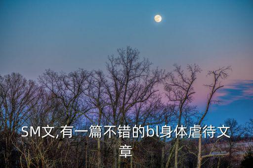 调教SM文,有一篇不错的bl身体虐待文章