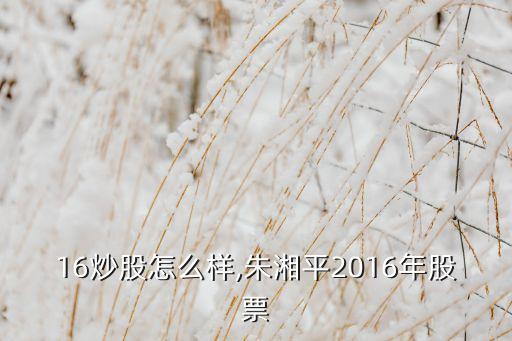 16炒股怎么样,朱湘平2016年股票