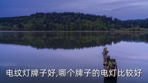 电纹灯牌子好,哪个牌子的电灯比较好