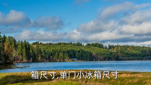 小冰箱尺寸,单门小冰箱尺寸