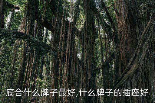 底合什么牌子最好,什么牌子的插座好