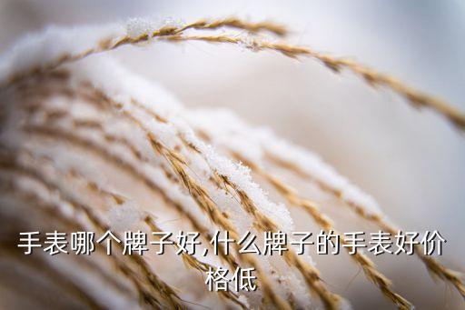 手表哪个牌子好,什么牌子的手表好价格低