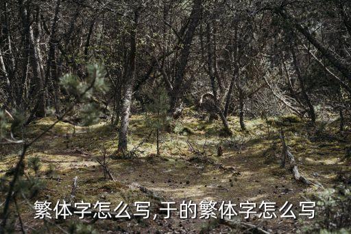 锡的繁体字怎么写,于的繁体字怎么写