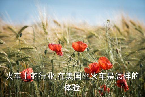 火车上的行业,在美国坐火车是怎样的体验