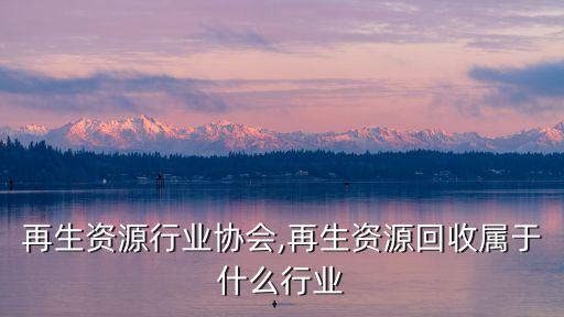 再生资源行业协会,再生资源回收属于什么行业