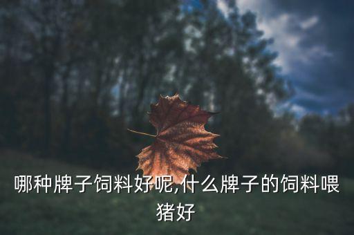 哪种牌子饲料好呢,什么牌子的饲料喂猪好
