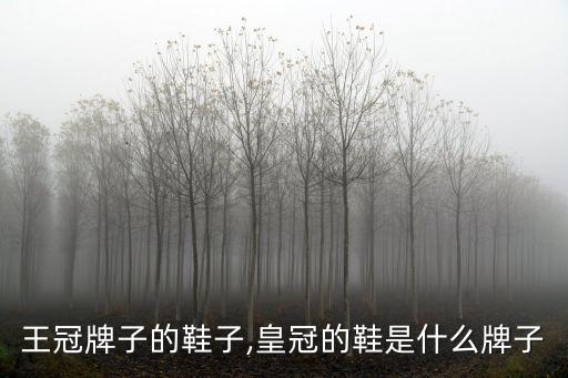日本王冠牌子的鞋子,皇冠的鞋是什么牌子?