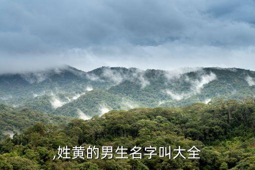 ,姓黄的男生名字叫大全