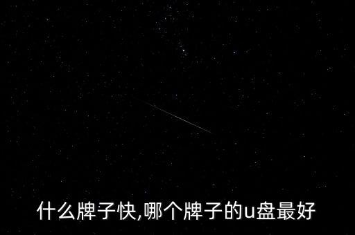 什么牌子快,哪个牌子的u盘最好