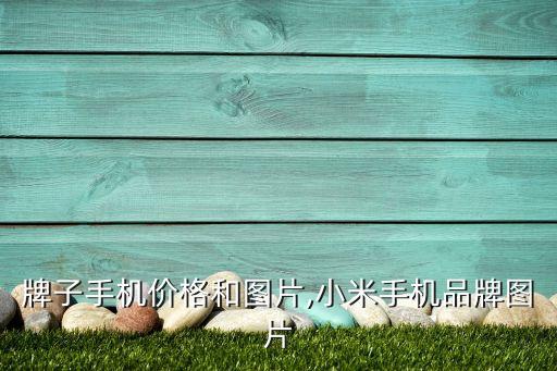 牌子手机价格和图片,小米手机品牌图片