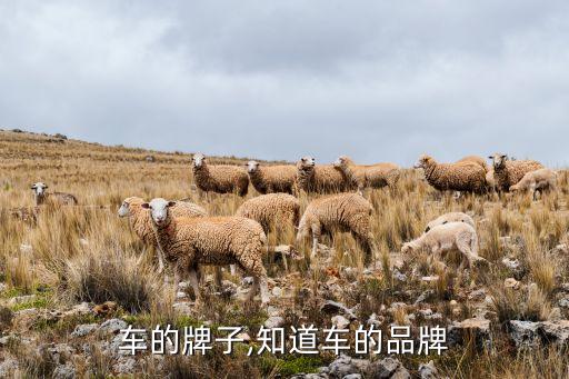 认准车的牌子,知道车的品牌