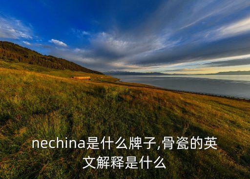 bonechina是什么牌子,骨瓷的英文解释是什么?