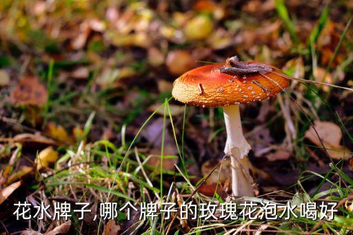 花水牌子,哪个牌子的玫瑰花泡水喝好