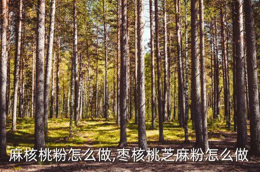 麻核桃粉怎么做,枣核桃芝麻粉怎么做
