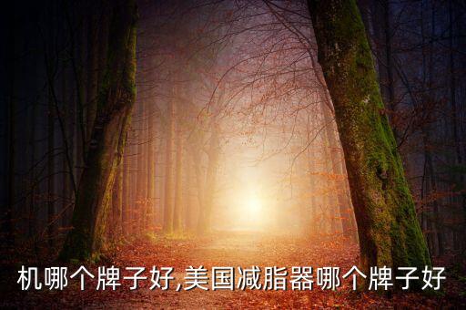 机哪个牌子好,美国减脂器哪个牌子好