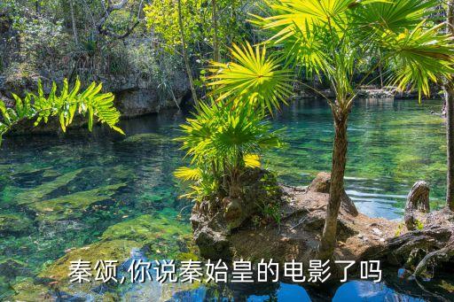 秦颂,你说秦始皇的电影了吗