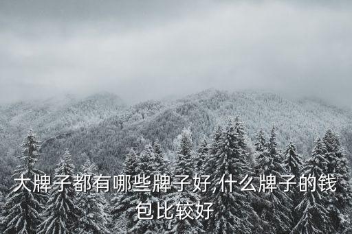 钱包大牌子都有哪些牌子好,什么牌子的钱包比较好?
