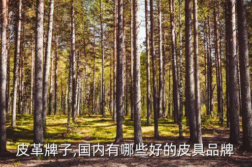 广州皮革牌子,国内有哪些好的皮具品牌?