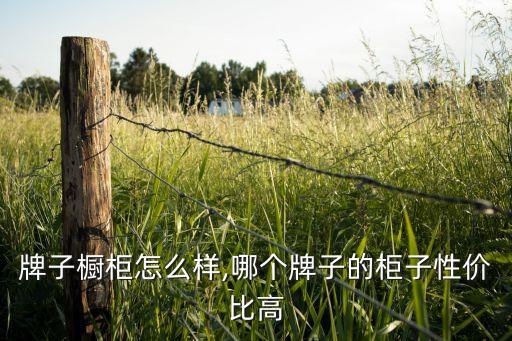 现代牌子橱柜怎么样,哪个牌子的柜子性价比高?