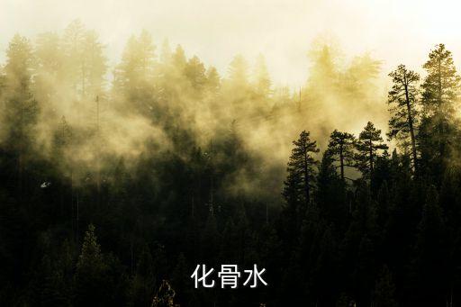 九龙化骨水