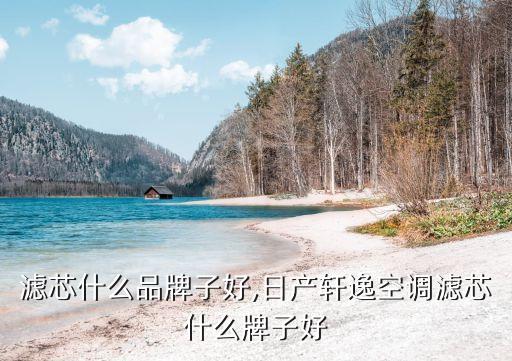 滤芯什么品牌子好,日产轩逸空调滤芯什么牌子好
