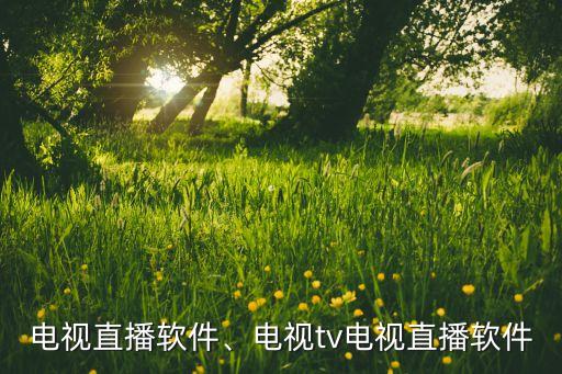 tv电视直播软件、电视tv电视直播软件