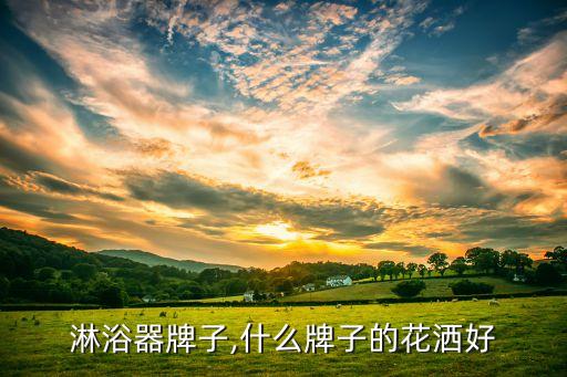 温州淋浴器牌子,什么牌子的花洒好?