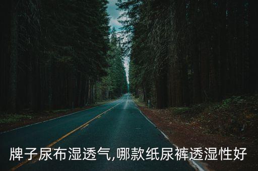 牌子尿布湿透气,哪款纸尿裤透湿性好