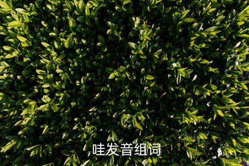 哗众,哇发音组词