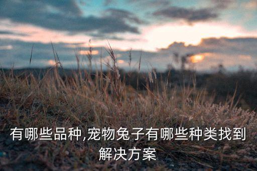 兔子有哪些品种,宠物兔子有哪些种类?找到解决方案