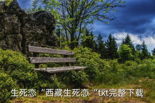 生死恋“西藏生死恋“txt完整下载