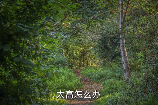 太高怎么办