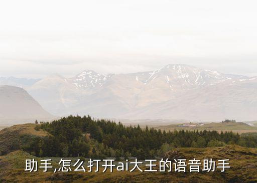 助手,怎么打开ai大王的语音助手